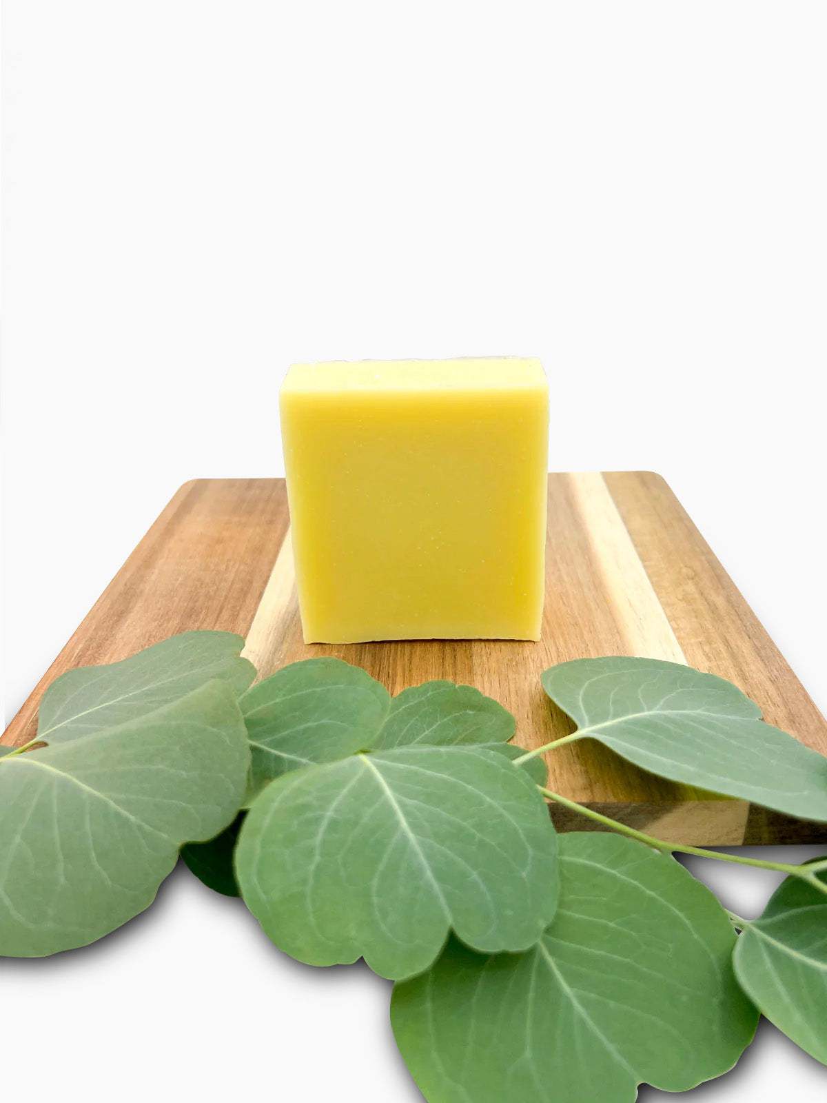 Eucalyptus Grove All-in-One Soap bar in kraft paper packaging with eucalyptus leaves background