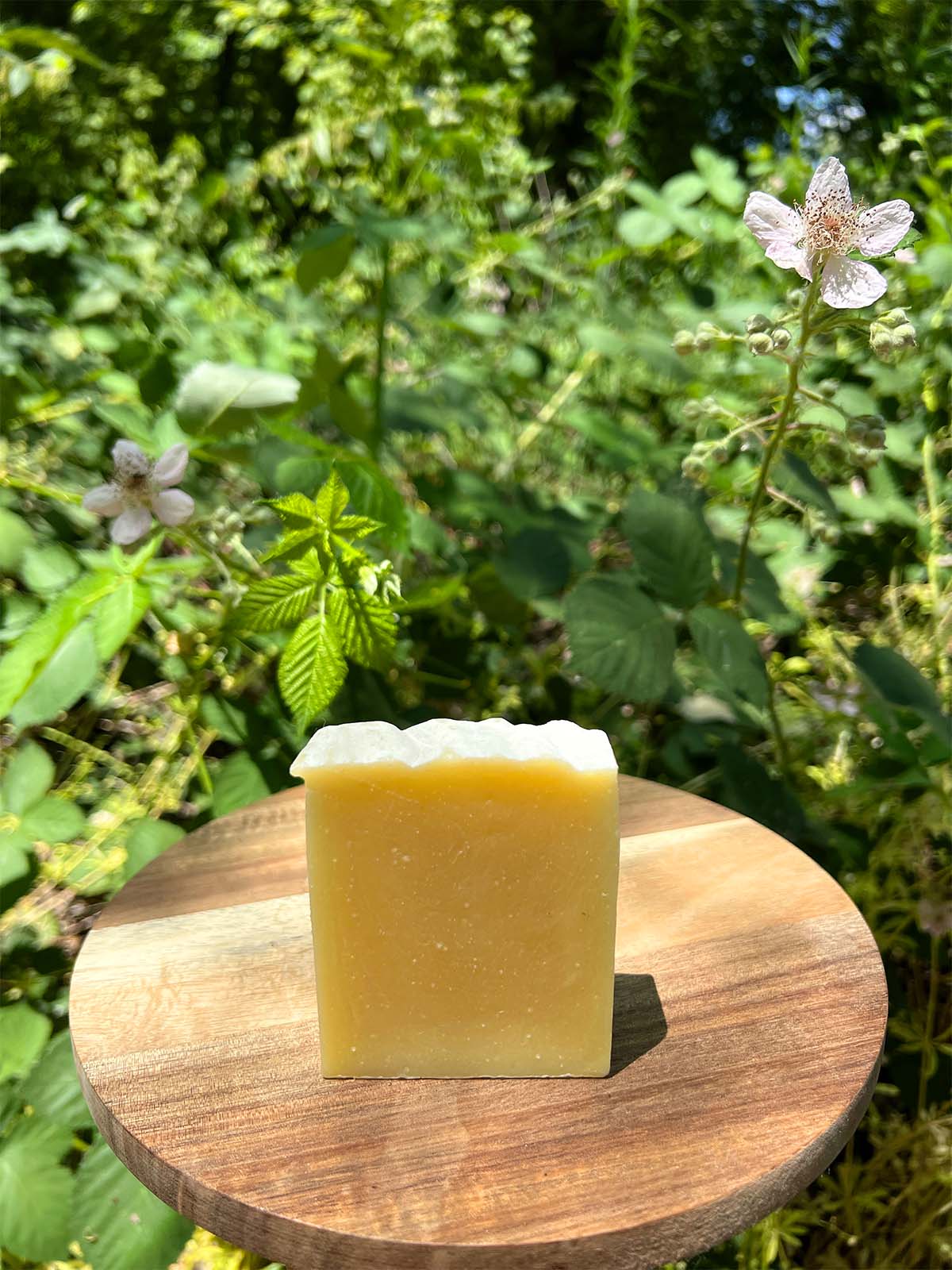 The Woodsman Hair & Body Bar
