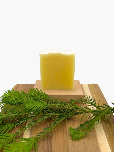 The Woodsman All-in-One Soap bar with natural cedarwood and patchouli scents in recyclable kraft paper packaging
